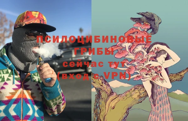 таблы Михайловск