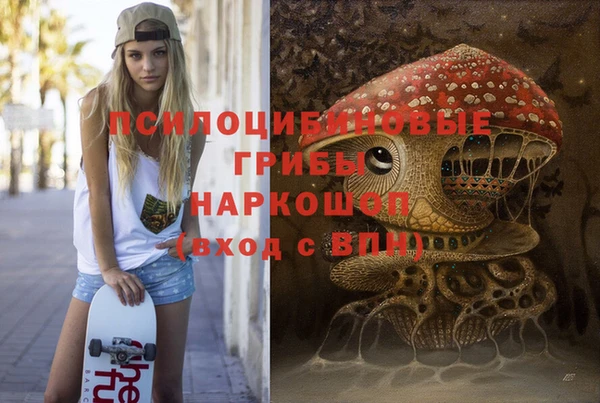 таблы Михайловск