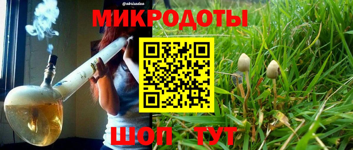 Галлюциногенные грибы Psilocybine cubensis Ирбит