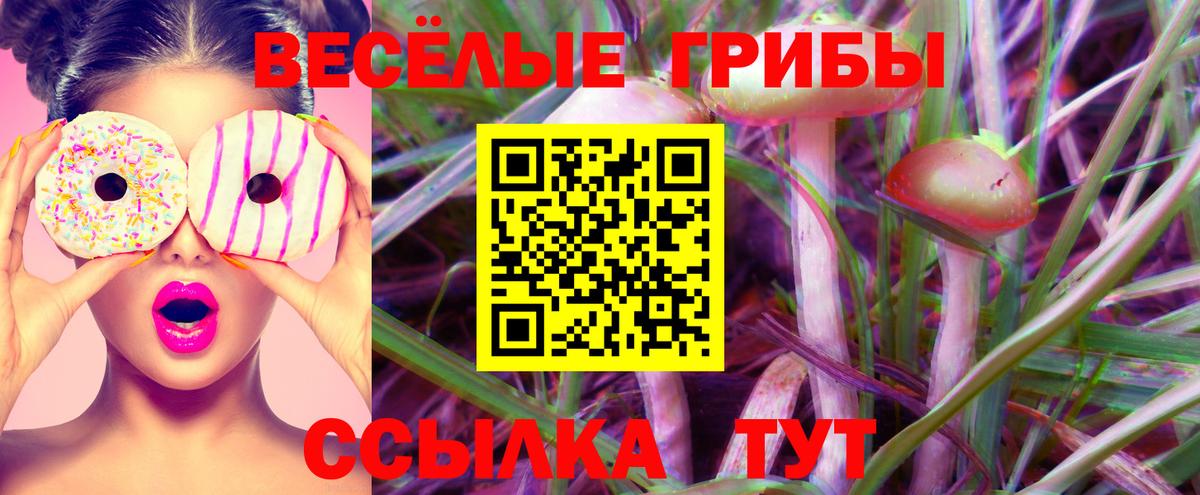 Галлюциногенные грибы GOLDEN TEACHER Ирбит